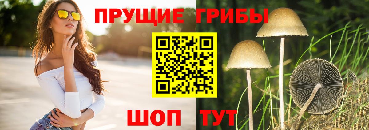 Галлюциногенные грибы Psilocybine cubensis  Псилоцибиновые грибы GOLDEN TEACHER  Вход с VPN  купить наркотики сайты  Ачинск 